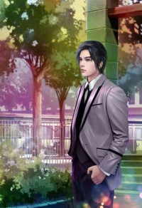 钻石豪门:总裁聘金66亿