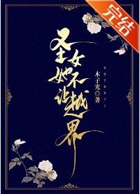 圣女她不让越界